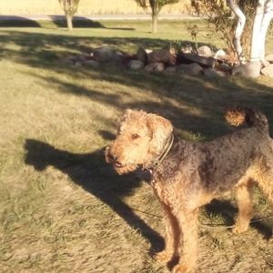 Meet your Posher, Debbie